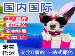 东极航空快运国际宠物托运 【国